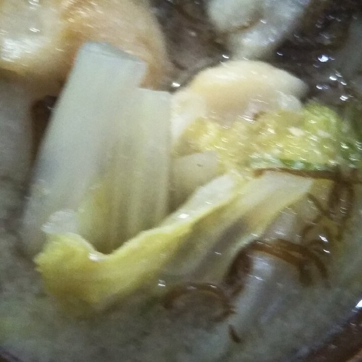 白菜ともずくのお味噌汁(◍•ᴗ•◍)